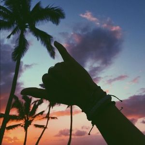 Meet your Posher, Maia